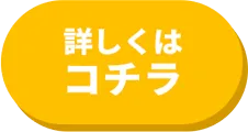 公式サイトはコチラ